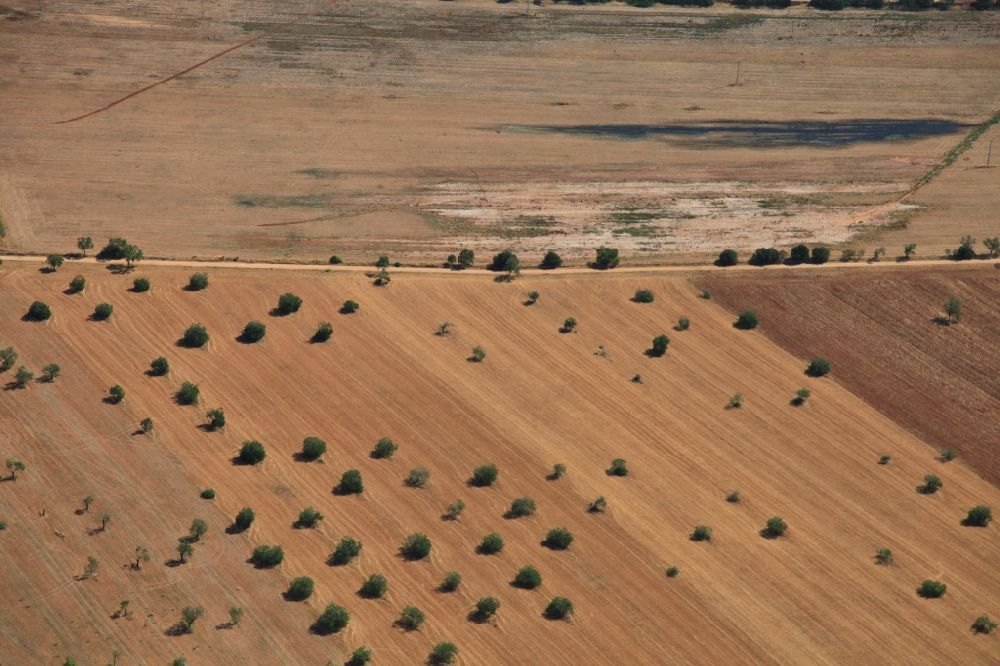 Inca aus der Vogelperspektive: Strukturen auf landwirtschaftlichen Feldern nach der Ernte auf Mallorca bei Inca auf der balearischen Mittelmeerinsel Mallorca, Spanien