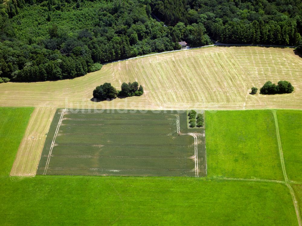 Luftbild Nehren - Strukturen auf landwirtschaftlichen Feldern in Nehren im Bundesland Baden-Württemberg, Deutschland