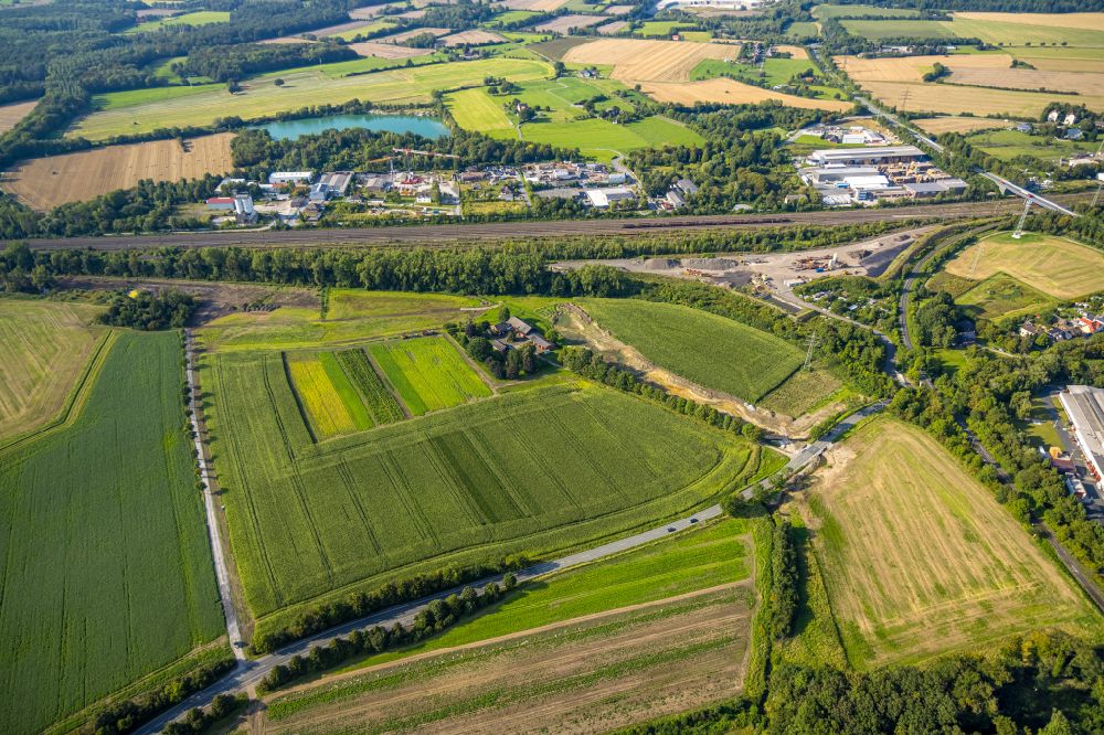Luftaufnahme Neubeckum - Strukturen auf landwirtschaftlichen Feldern in Neubeckum im Bundesland Nordrhein-Westfalen, Deutschland