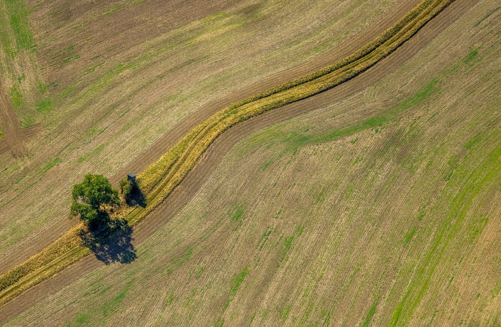 Luftbild Oberbredenscheid - Strukturen auf landwirtschaftlichen Feldern in Oberbredenscheid im Bundesland Nordrhein-Westfalen, Deutschland