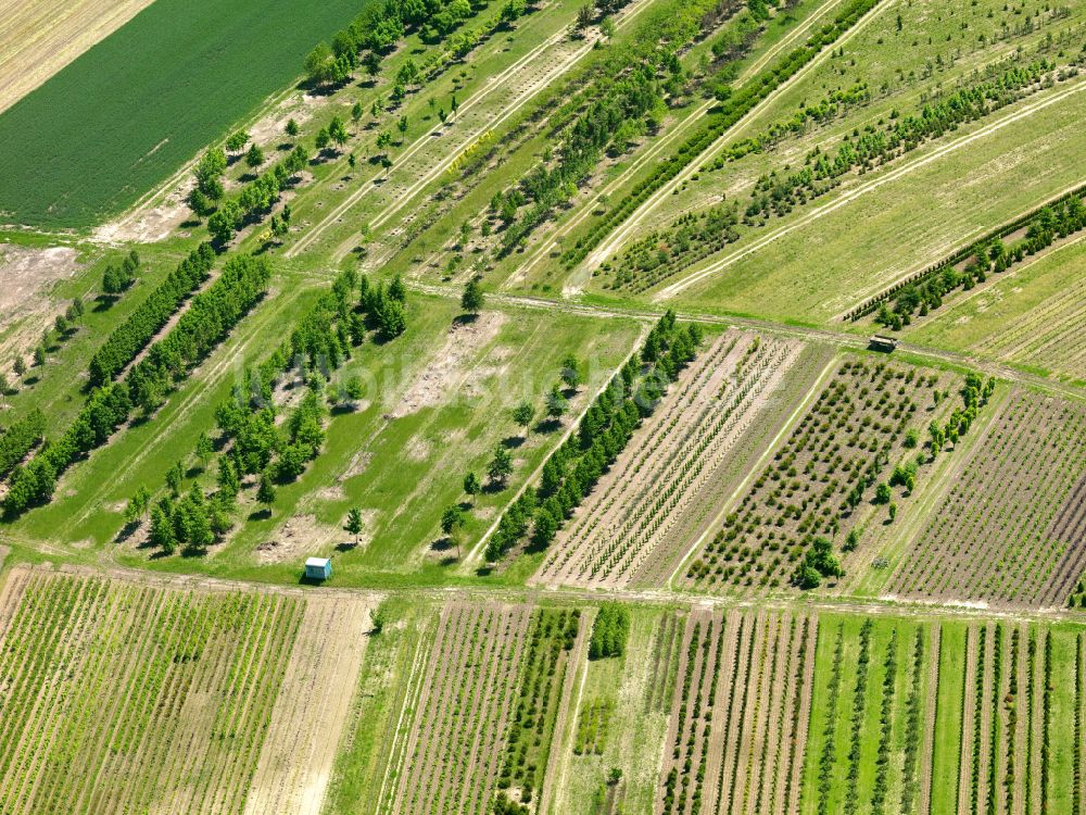 Luftbild Oggelshausen - Strukturen auf landwirtschaftlichen Feldern in Oggelshausen im Bundesland Baden-Württemberg, Deutschland