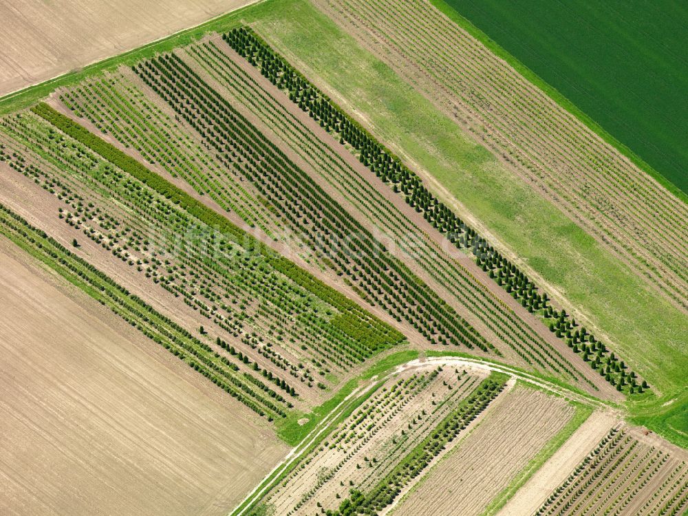 Luftaufnahme Oggelshausen - Strukturen auf landwirtschaftlichen Feldern in Oggelshausen im Bundesland Baden-Württemberg, Deutschland
