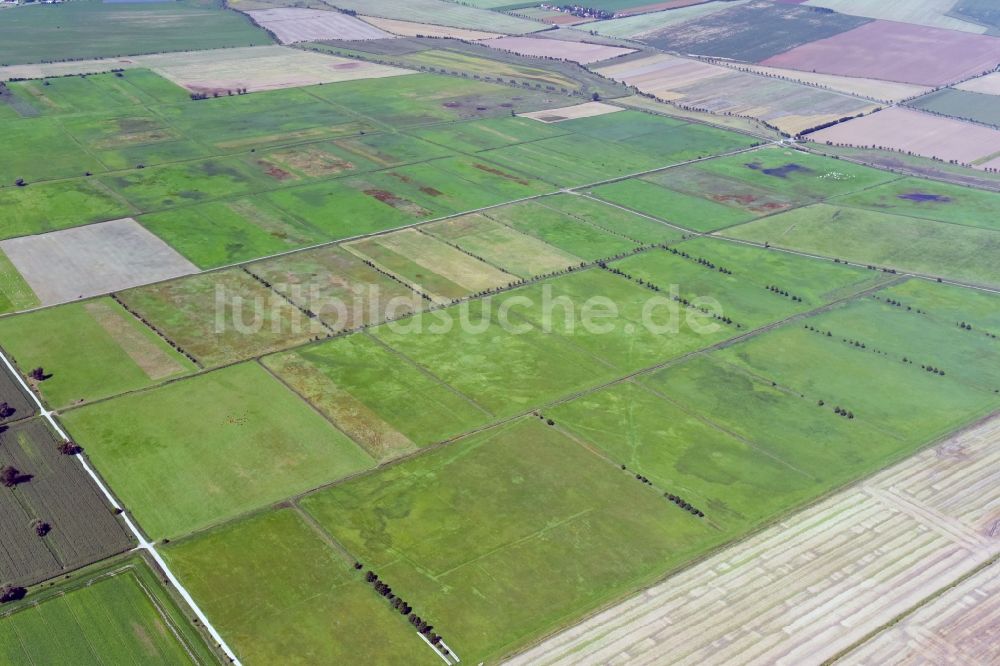 Luftaufnahme Oldisleben - Strukturen auf landwirtschaftlichen Feldern in Oldisleben im Bundesland Thüringen, Deutschland