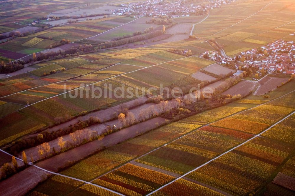 Landau in der Pfalz von oben - Strukturen auf landwirtschaftlichen Feldern im Ortsteil Wollmesheim in Landau in der Pfalz im Bundesland Rheinland-Pfalz