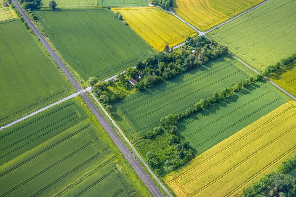 Osttünnen von oben - Strukturen auf landwirtschaftlichen Feldern in Osttünnen im Bundesland Nordrhein-Westfalen, Deutschland