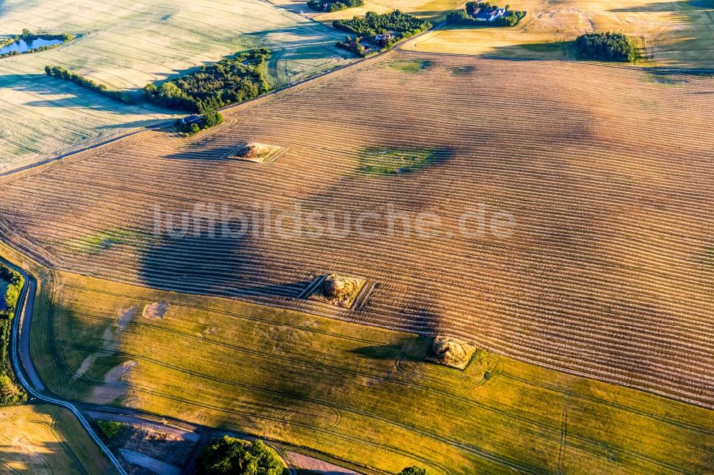 Luftaufnahme Borre - Strukturen auf landwirtschaftlichen Feldern mit prähistorischen Hügelgräbern in Borre in Region Själland, Dänemark