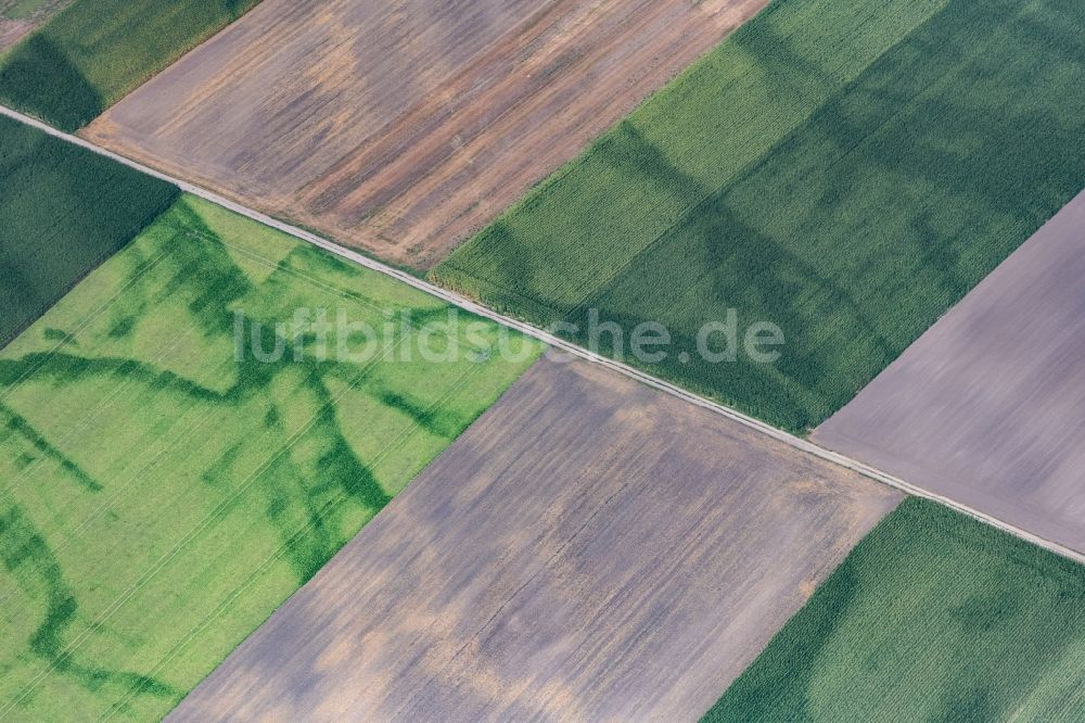 Rehling aus der Vogelperspektive: Strukturen auf landwirtschaftlichen Feldern in Rehling im Bundesland Bayern, Deutschland