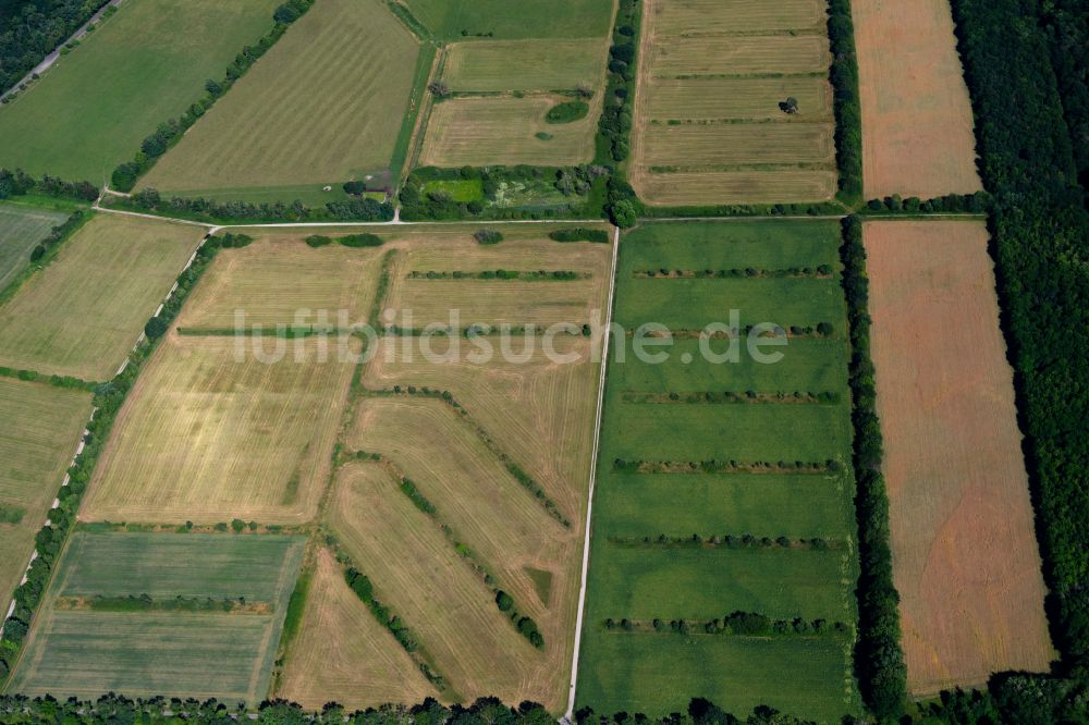 Rieselfeld aus der Vogelperspektive: Strukturen auf landwirtschaftlichen Feldern in Rieselfeld im Bundesland Baden-Württemberg, Deutschland