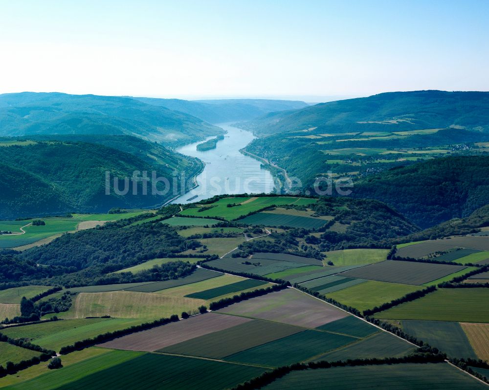 Luftbild Schönberg,Hof - Strukturen auf landwirtschaftlichen Feldern in Schönberg,Hof im Bundesland Rheinland-Pfalz, Deutschland