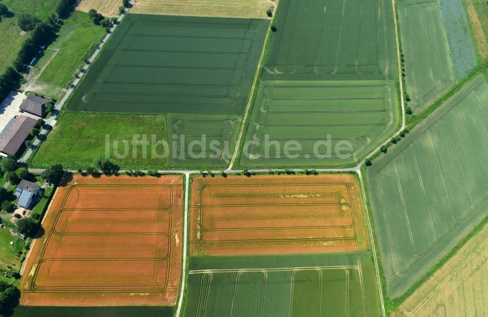 Schönhagen von oben - Strukturen auf landwirtschaftlichen Feldern in Schönhagen im Bundesland Niedersachsen, Deutschland