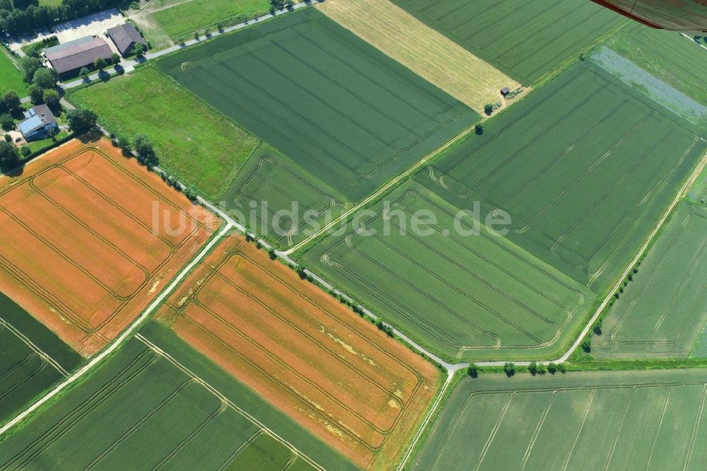 Schönhagen aus der Vogelperspektive: Strukturen auf landwirtschaftlichen Feldern in Schönhagen im Bundesland Niedersachsen, Deutschland
