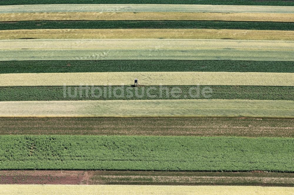 Schwechat von oben - Strukturen auf landwirtschaftlichen Feldern in Schwechat in Niederösterreich, Österreich