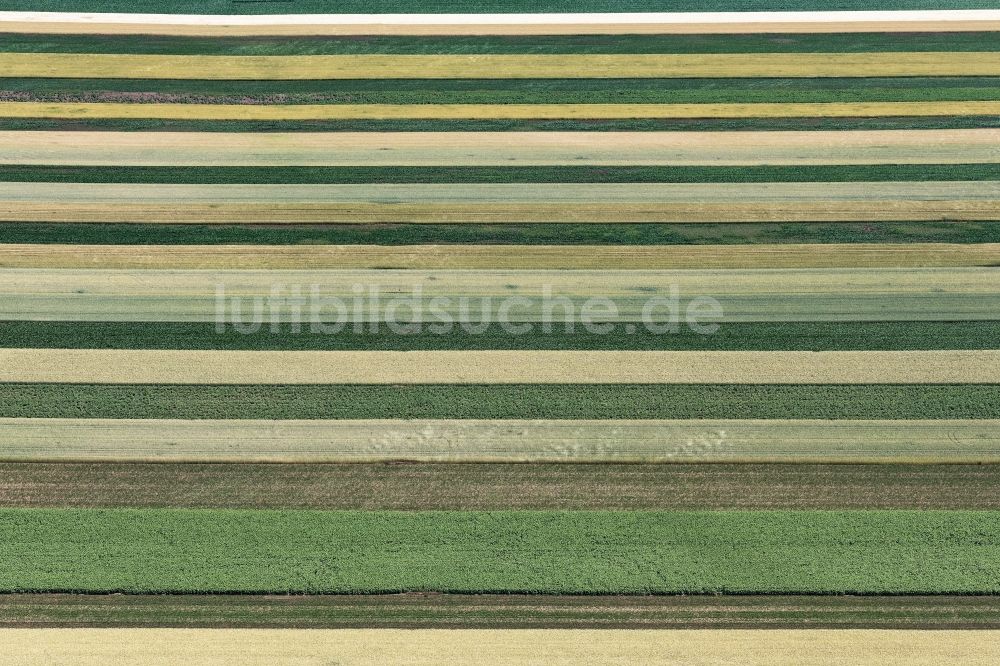 Luftbild Schwechat - Strukturen auf landwirtschaftlichen Feldern in Schwechat in Niederösterreich, Österreich