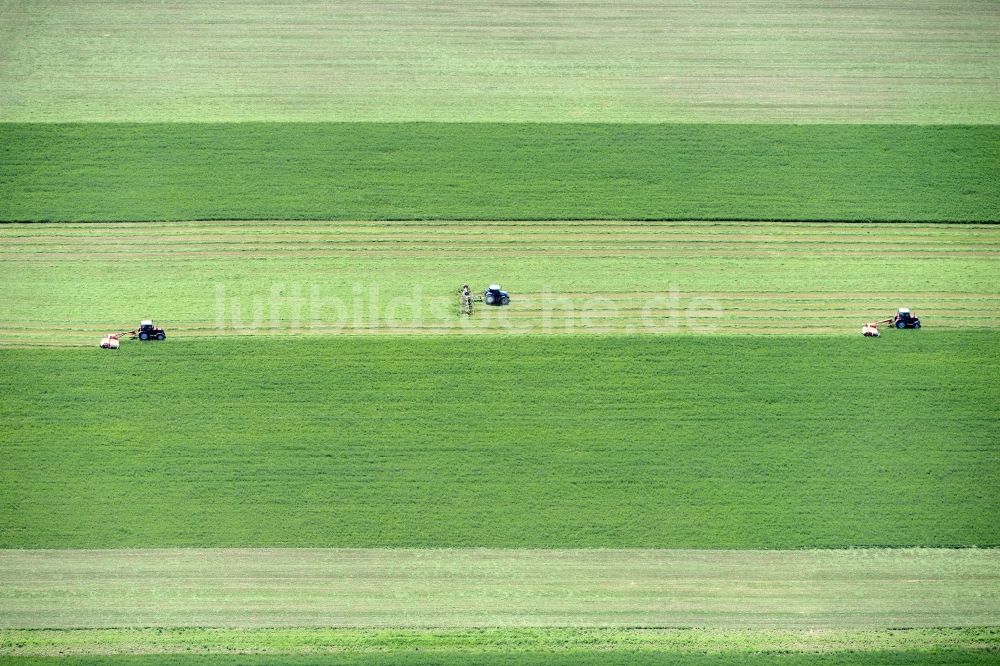 Seregelyes von oben - Strukturen auf landwirtschaftlichen Feldern in Seregelyes in Fejer, Ungarn