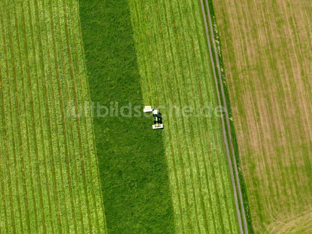 Luftaufnahme Stafflangen - Strukturen auf landwirtschaftlichen Feldern in Stafflangen im Bundesland Baden-Württemberg, Deutschland