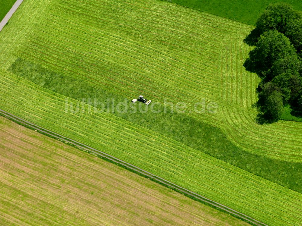 Stafflangen aus der Vogelperspektive: Strukturen auf landwirtschaftlichen Feldern in Stafflangen im Bundesland Baden-Württemberg, Deutschland