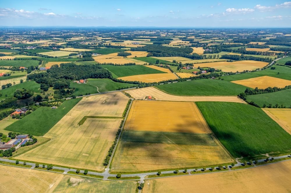 Luftbild Sendenhorst - Strukturen auf landwirtschaftlichen Feldern am Sudfeld in Sendenhorst im Bundesland Nordrhein-Westfalen, Deutschland