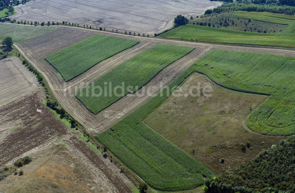 Luftaufnahme Teicha - Strukturen auf landwirtschaftlichen Feldern in Teicha im Bundesland Sachsen-Anhalt, Deutschland