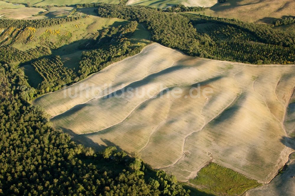 Luftaufnahme Trequanda - Strukturen auf landwirtschaftlichen Feldern in Trequanda in Toscana, Italien