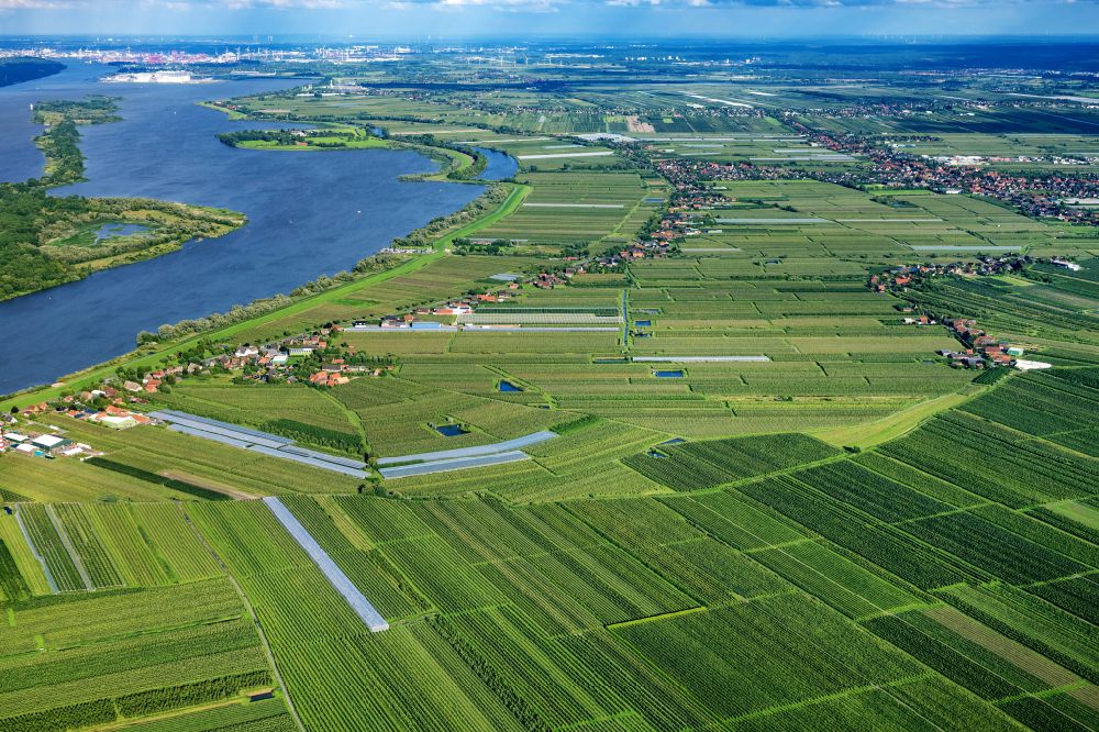 Jork von oben - Strukturen auf landwirtschaftlichen Feldern am Ufer des Flußverlaufes der Elbe in Jork im Bundesland Niedersachsen, Deutschland
