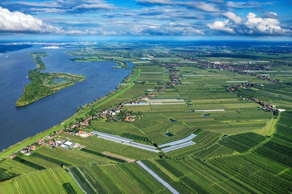 Jork aus der Vogelperspektive: Strukturen auf landwirtschaftlichen Feldern am Ufer des Flußverlaufes der Elbe in Jork im Bundesland Niedersachsen, Deutschland
