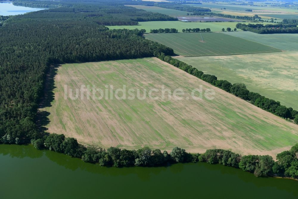 Drewen aus der Vogelperspektive: Strukturen auf landwirtschaftlichen Feldern am Ufer des Obersee in Drewen im Bundesland Brandenburg, Deutschland