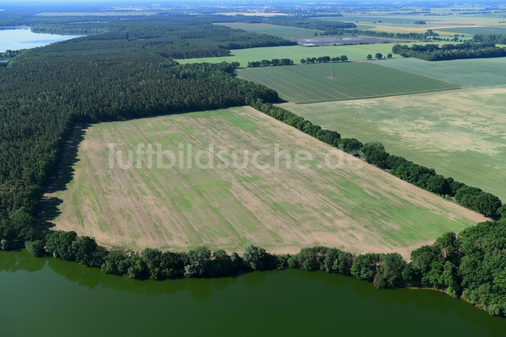 Luftbild Drewen - Strukturen auf landwirtschaftlichen Feldern am Ufer des Obersee in Drewen im Bundesland Brandenburg, Deutschland