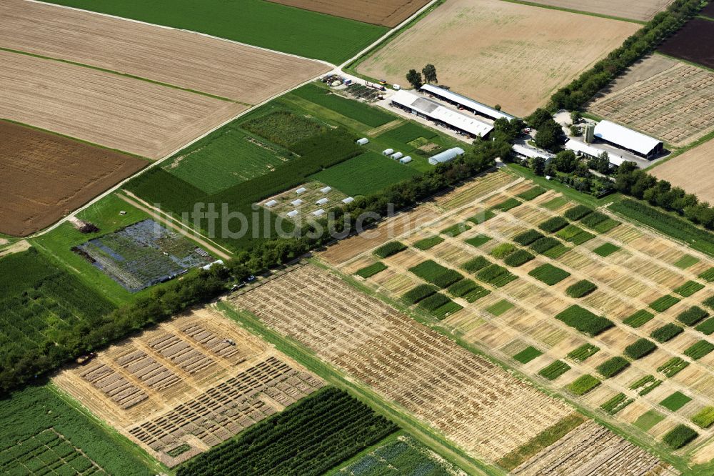 Luftbild Stuttgart - Strukturen auf landwirtschaftlichen Feldern der Versuchsstation Agrarwissenschaften der Universität Hohenheim in Stuttgart im Bundesland Baden-Württemberg, Deutschland
