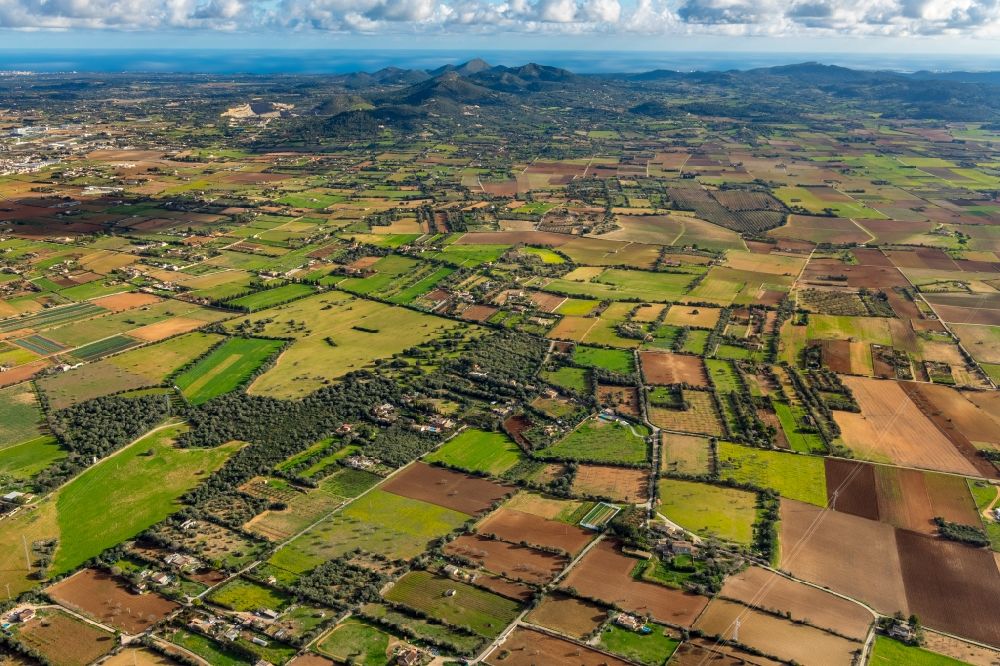 Luftbild Vilafranca de Bonany - Strukturen auf landwirtschaftlichen Feldern in Vilafranca de Bonany in Balearische Insel Mallorca, Spanien