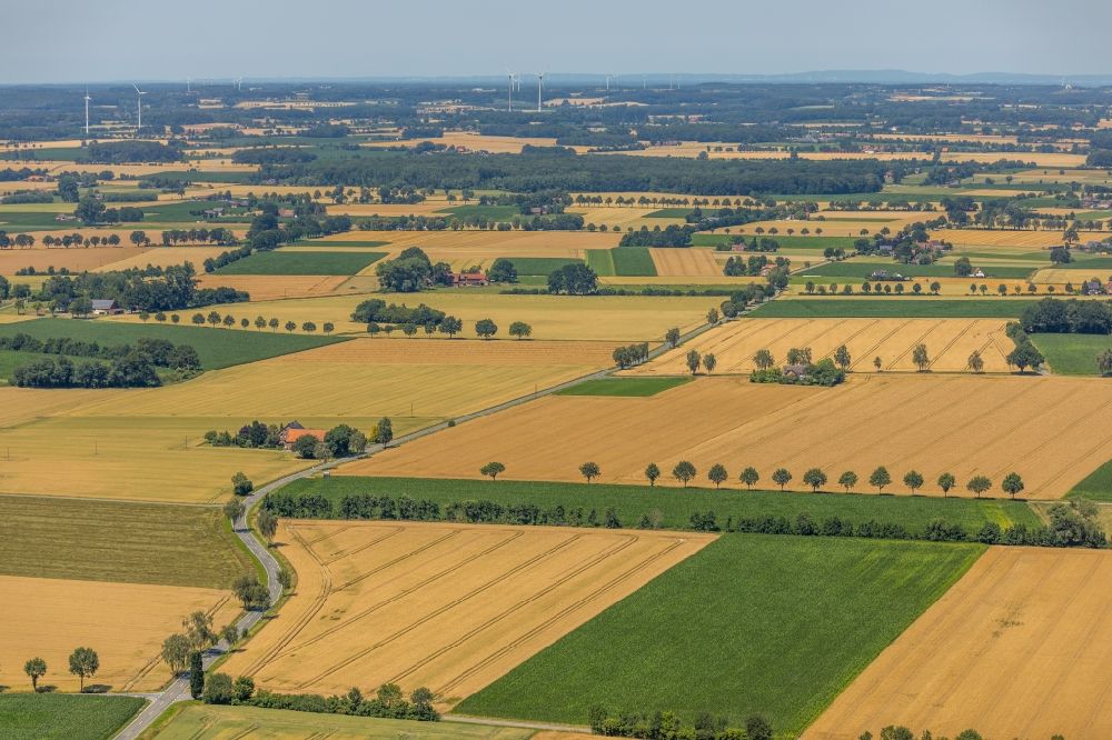 Luftaufnahme Wadersloh - Strukturen auf landwirtschaftlichen Feldern in Wadersloh im Bundesland Nordrhein-Westfalen, Deutschland