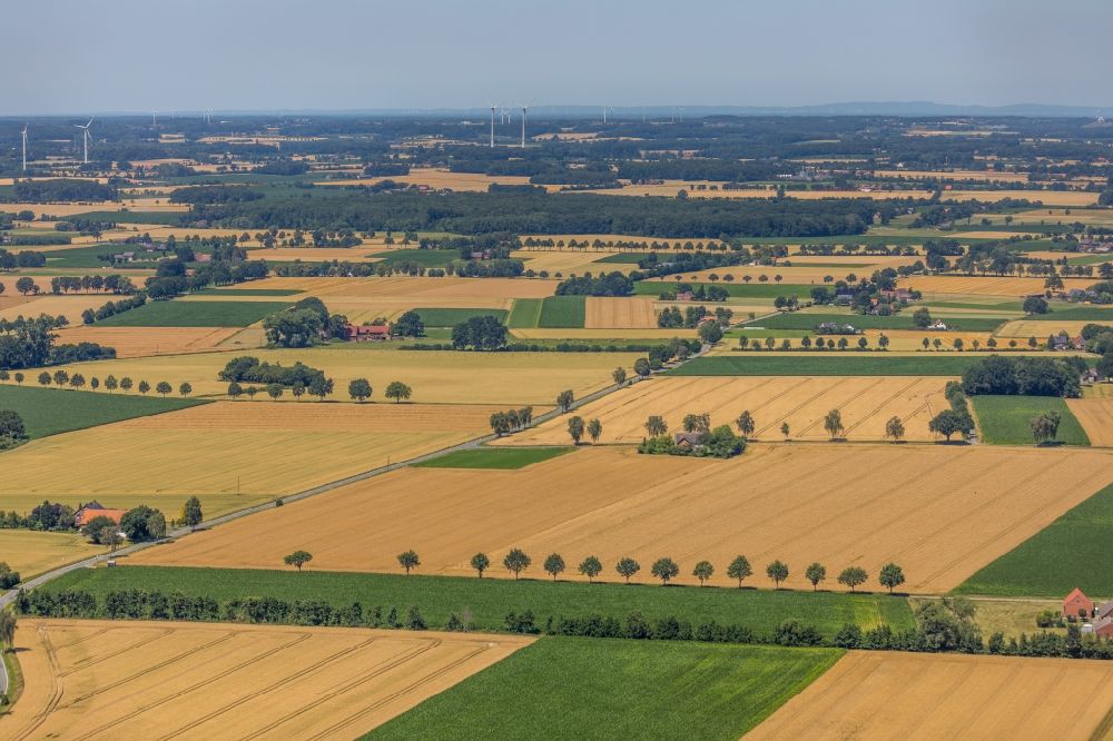 Wadersloh aus der Vogelperspektive: Strukturen auf landwirtschaftlichen Feldern in Wadersloh im Bundesland Nordrhein-Westfalen, Deutschland