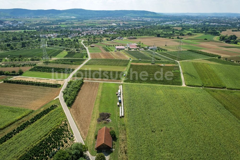 Luftaufnahme Waiblingen - Strukturen auf landwirtschaftlichen Feldern in Waiblingen im Bundesland Baden-Württemberg