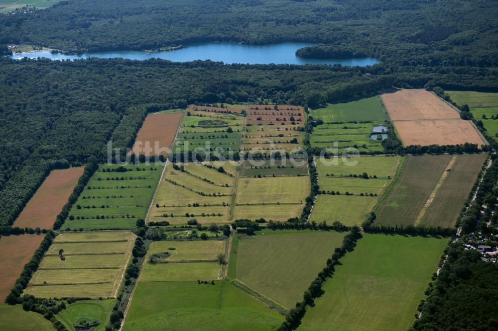 Luftbild Weingarten - Strukturen auf landwirtschaftlichen Feldern in Weingarten im Bundesland Baden-Württemberg, Deutschland