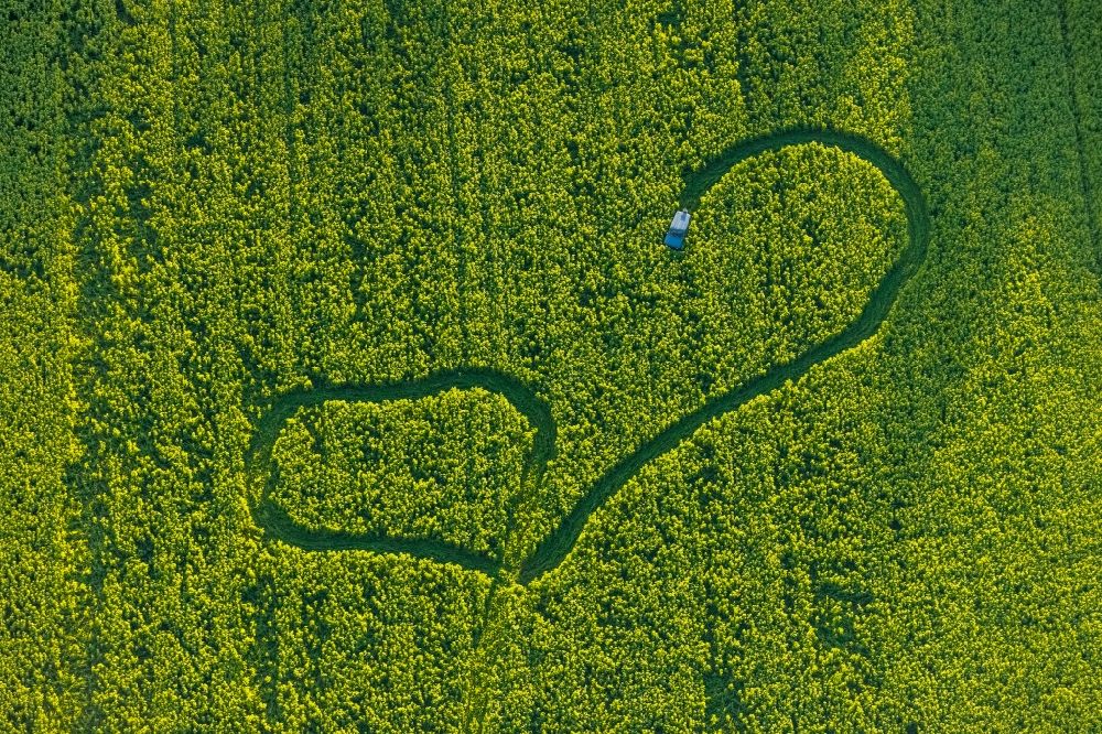 Luftbild Welver - Strukturen auf landwirtschaftlichen Feldern in Welver im Bundesland Nordrhein-Westfalen, Deutschland