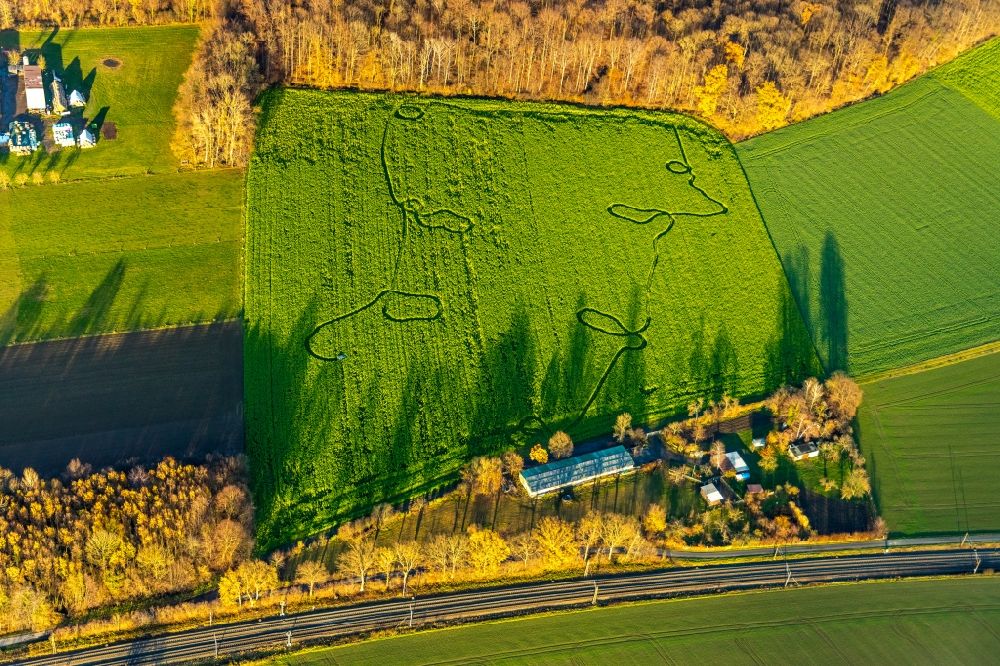 Welver aus der Vogelperspektive: Strukturen auf landwirtschaftlichen Feldern in Welver im Bundesland Nordrhein-Westfalen, Deutschland