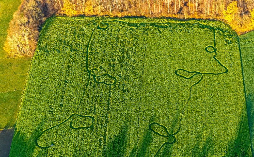 Luftbild Welver - Strukturen auf landwirtschaftlichen Feldern in Welver im Bundesland Nordrhein-Westfalen, Deutschland
