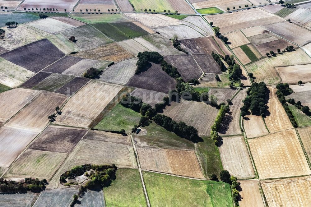 Luftaufnahme Zella - Strukturen auf landwirtschaftlichen Feldern in Zella im Bundesland Hessen, Deutschland