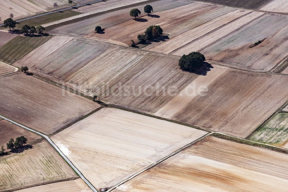 Zella von oben - Strukturen auf landwirtschaftlichen Feldern in Zella im Bundesland Hessen, Deutschland