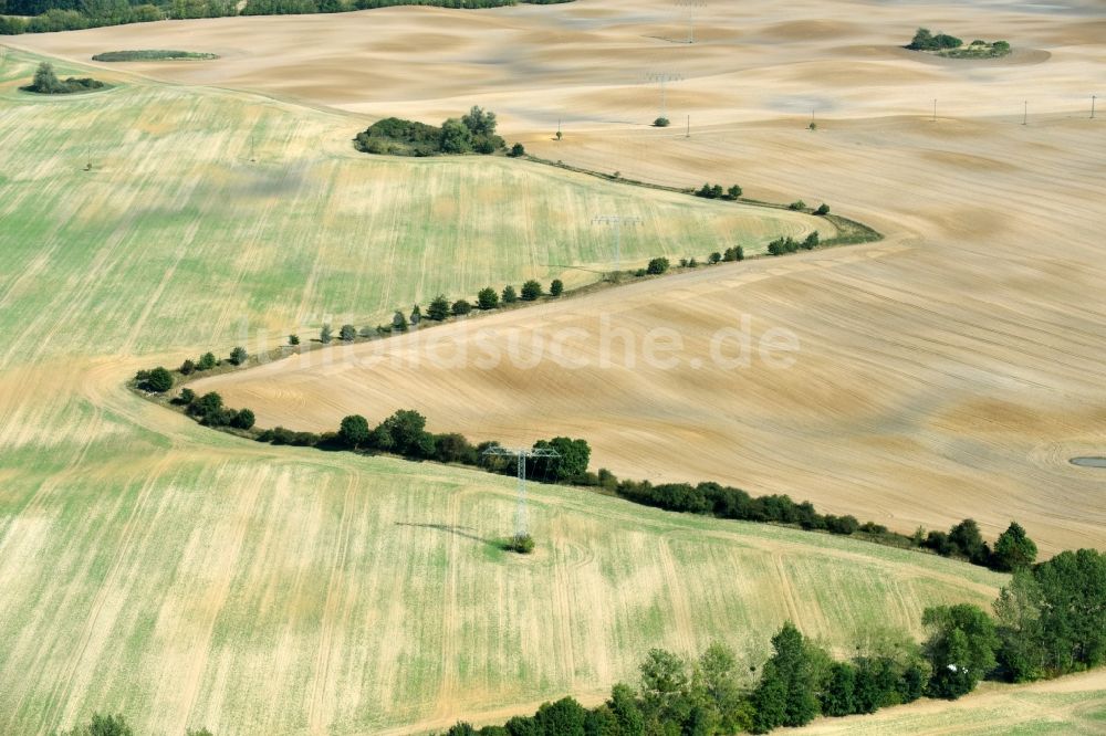 Luftbild Boitzenburger Land - Strukturen auf landwirtschaftlichen Feldern mit zickzackförmigen Baumreihen in Boitzenburger Land im Bundesland Brandenburg