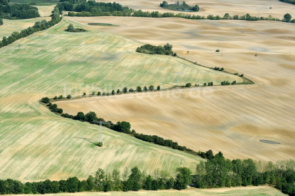 Boitzenburger Land von oben - Strukturen auf landwirtschaftlichen Feldern mit zickzackförmigen Baumreihen in Boitzenburger Land im Bundesland Brandenburg