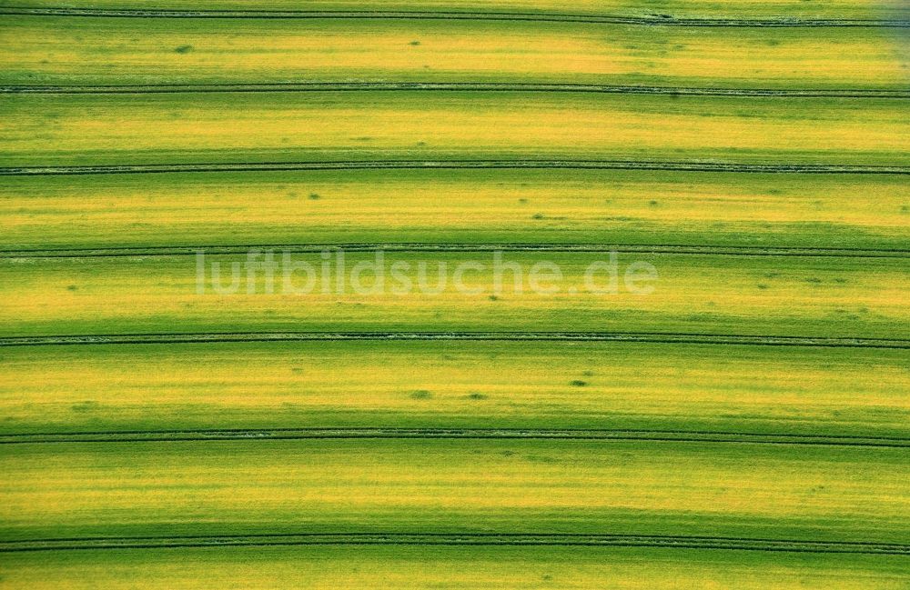Luftbild Zschippach - Strukturen auf landwirtschaftlichen Feldern in Zschippach im Bundesland Thüringen, Deutschland