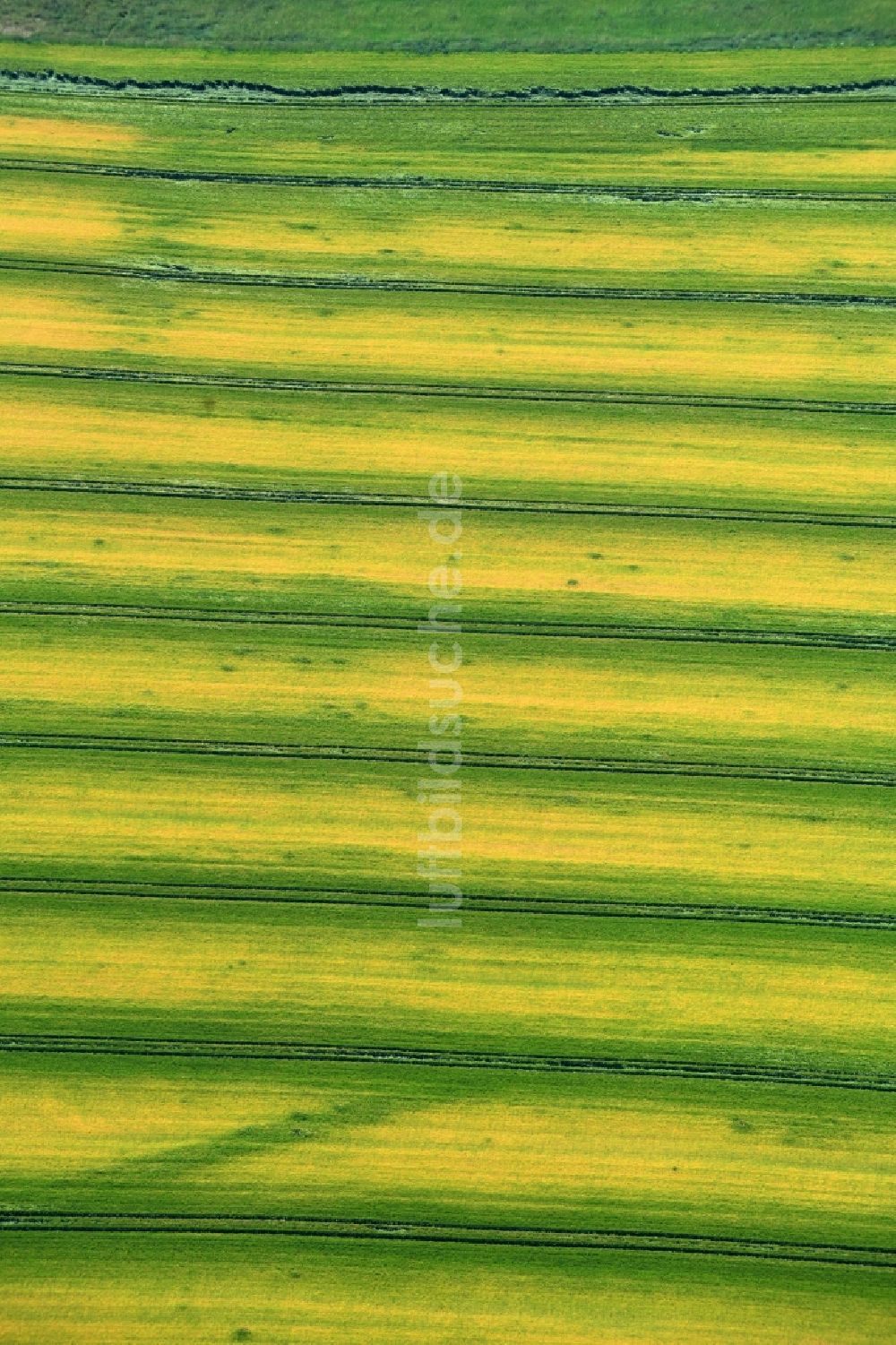 Luftaufnahme Zschippach - Strukturen auf landwirtschaftlichen Feldern in Zschippach im Bundesland Thüringen, Deutschland