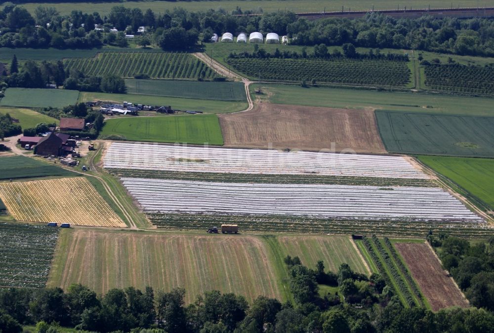 Erfurt von oben - Strukturen auf landwirtschaftlichen Feldern zum Anbau von Erdbeeren im Ortsteil Hochheim in Erfurt im Bundesland Thüringen, Deutschland