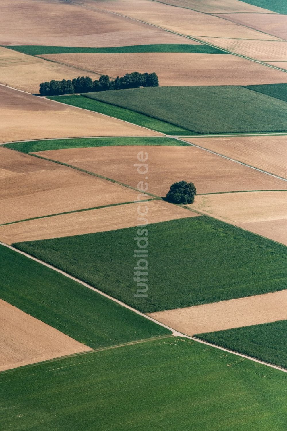 Luftbild Dillingen an der Donau - Strukturen auf landwirtschaftlichen Feldern in Zusamaltheim im Bundesland Bayern, Deutschland