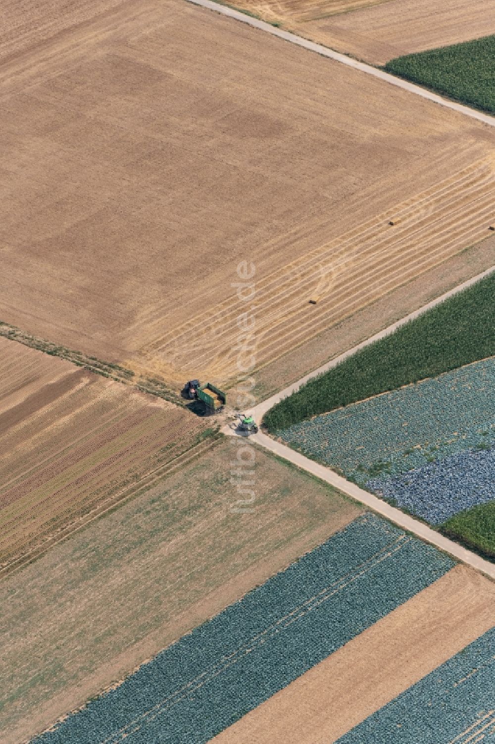 Luftaufnahme Dillingen an der Donau - Strukturen auf landwirtschaftlichen Feldern in Zusamaltheim im Bundesland Bayern, Deutschland