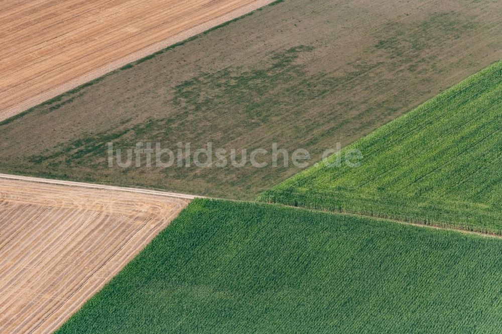 Dillingen an der Donau von oben - Strukturen auf landwirtschaftlichen Feldern in Zusamaltheim im Bundesland Bayern, Deutschland