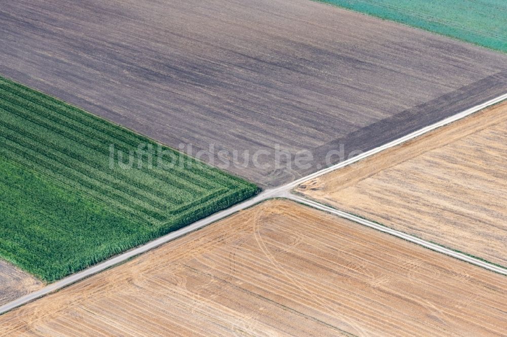 Dillingen an der Donau aus der Vogelperspektive: Strukturen auf landwirtschaftlichen Feldern in Zusamaltheim im Bundesland Bayern, Deutschland