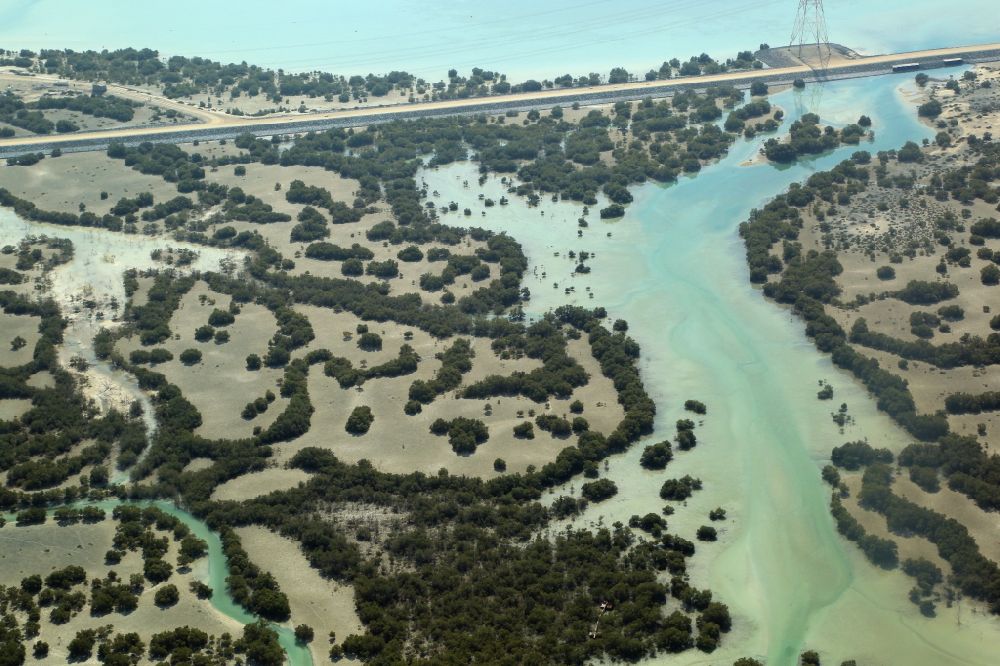 Luftaufnahme Abu Dhabi - Strukturen in den Mangroven Gewässern auf der Insel Al Jubail Island in Abu Dhabi in Vereinigte Arabische Emirate