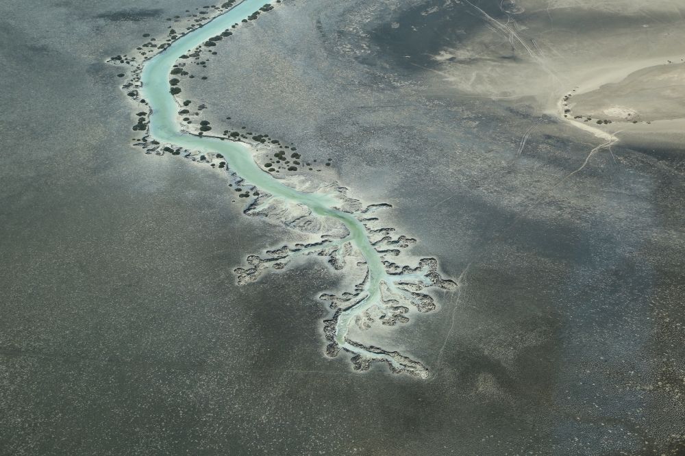 Luftbild Abu Dhabi - Strukturen in den Mangroven Gewässern auf der Insel Al Jubail Island in Abu Dhabi in Vereinigte Arabische Emirate