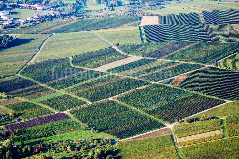 Luftaufnahme Heuchelheim-Klingen - Strukturen auf Weinbergen mit unterschiedlich gefärbtem Reblaub in Heuchelheim-Klingen im Bundesland Rheinland-Pfalz